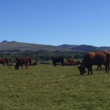 Les Loges D'arsene Apartament Aurillac
